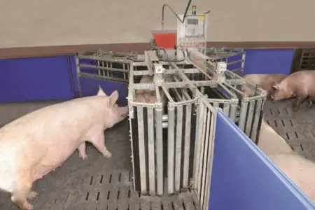 sample of WEDA's animal feeding systems in agriculture industry Melchers Taiwan