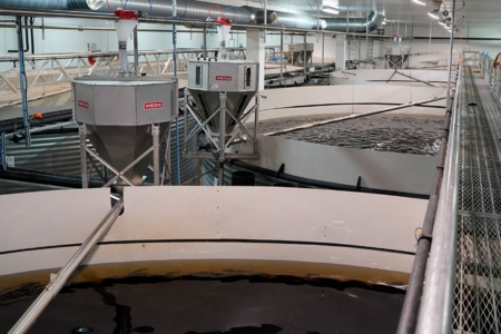 sample of WEDA's animal feeding systems in agriculture industry Melchers Taiwan